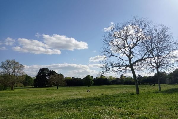 Météo en Pays de la Loire : un dimanche plus calme et plus chaud