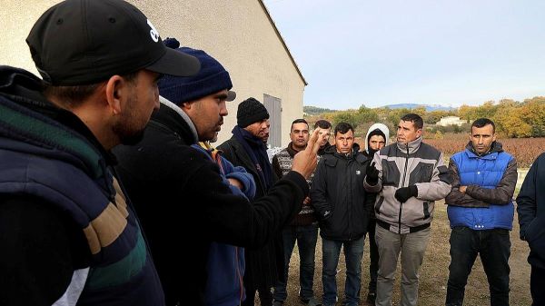 Ouvriers agricoles exploités à Malemort-du-Comtat : "On perd la force" confie l'un d'eux