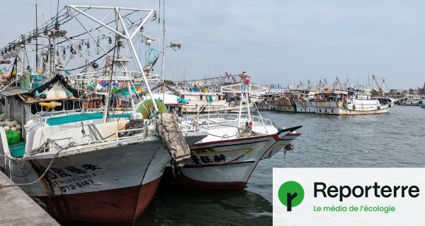 Coupés du monde, ces pêcheurs vivent l'enfer sur les bateaux de Taïwan