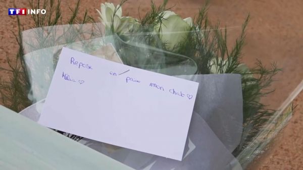 VIDÉO - Adolescent tué à Châteauroux : le suspect était déjà connu de la police | TF1 INFO