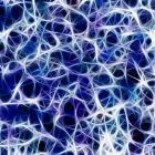 Révolution dans l'observation des neurones: vers une meilleure compréhension des maladies dégénératives