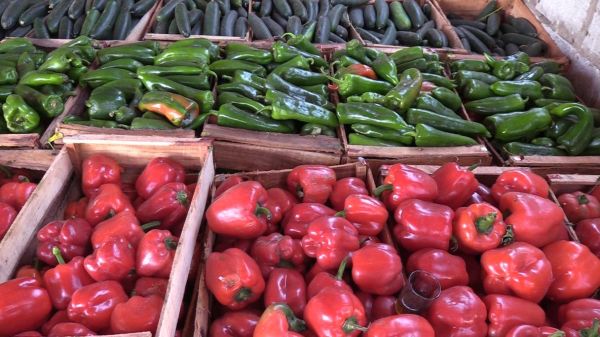 Suppression des droits de douane sur les légumes Marocains : Bouffée d'oxygène pour le marché Mauritanien
