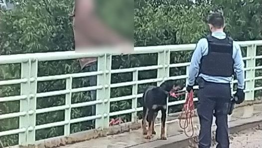 Une tentative de suicide a bloqué l'autoroute A9 : la chienne Tina a dissuadé son maître de sauter du pont