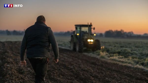 Un agriculteur se suicide-t-il tous les deux jours en France ? | TF1 INFO