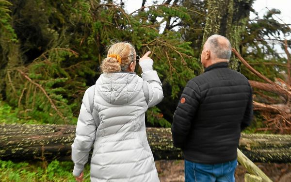 Catastrophe naturelle : comment faire jouer son assurance ?