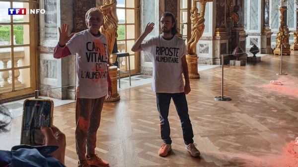 Versailles : deux militants interpellés après une action à la galerie des Glaces  | TF1 INFO