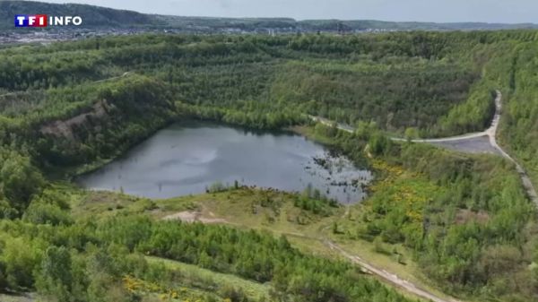 VIDÉO - Lorraine : quand d'anciennes mines de charbon laissent place à un lac enchanteur | TF1 INFO