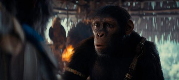 Blockbuster, héritage, Wes Ball : le casting de La Planète des singes revient sur Le Nouveau Royaume