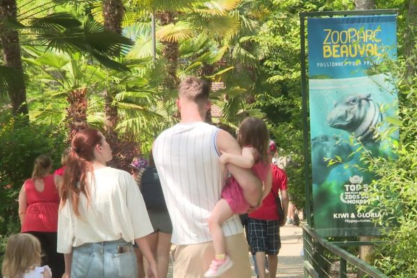 Zooparc de Beauval : ce qu'il faut savoir si vous comptez visiter le zoo pendant le week-end de l'Ascension