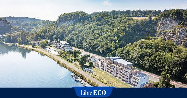 Un projet immobilier innovant voit le jour en bord de Meuse: "Il se différencie de l'offre immobilière de la région"