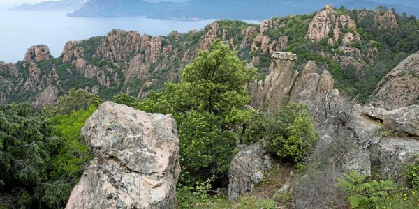 Tourisme : les 10 sites incontournables pour des vacances nature en Corse