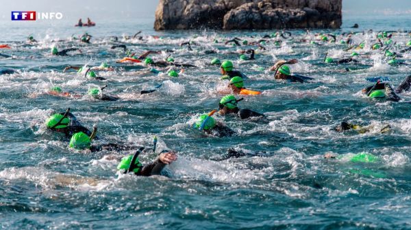 "Nager dans la mer apporte un bien-être incroyable" : des participants pas comme les autres au Défi de Monte Cristo témoignent | TF1 INFO