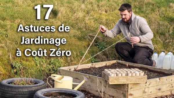 17 astuces géniales et gratuites pour le jardinage de légumes | Plus de nourriture pour moins d’effort