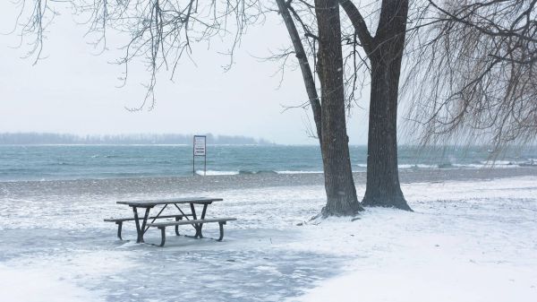 «Cold Case», d'Alexandre Labruffe: à la recherche de l'oncle congelé