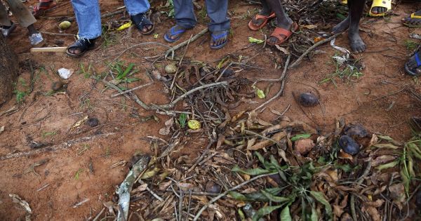 République centrafricaine : Une étape vers la fin de l'impunité pour les auteurs de crimes graves
