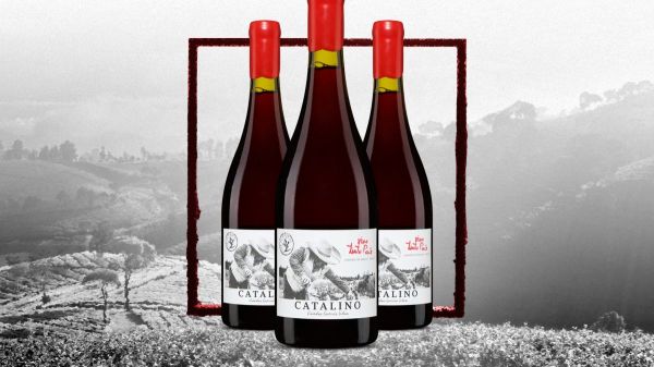 Le vin de la semaine : un rouge léger du bout des Amériques