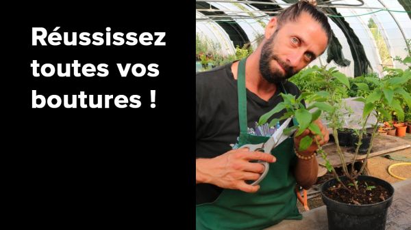 Réussissez toutes vos boutures ! Tout ce qu'il faut savoir pour ne plus les rater