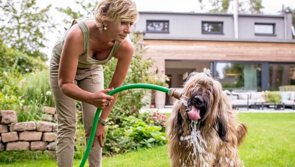 Comment garder les animaux au frais pendant les vagues de chaleur ?