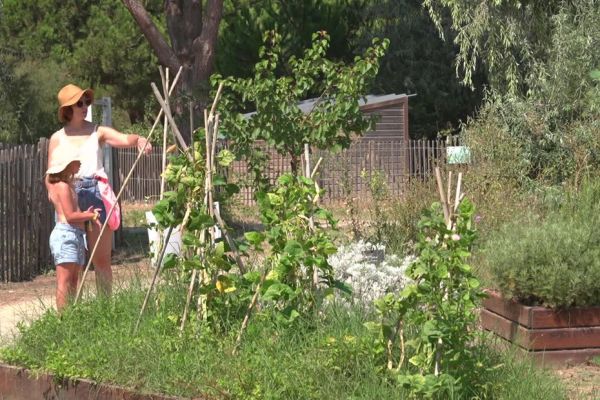 "On propose aux clients de goûter et sentir les plantes" : maraîchage, permaculture, l'originalité d'un camping écologique