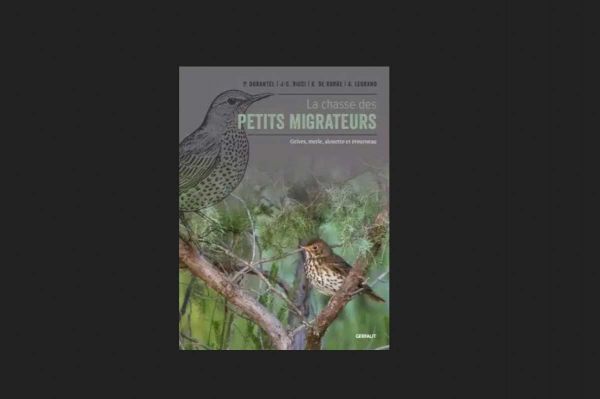 La chasse des petits migrateurs : de passion et de tradition