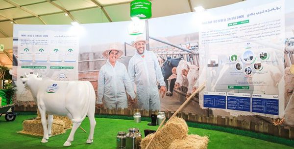 Porté par Centrale Danone Hlib Bladi, finaliste aux IDF Innovation Awards 2024