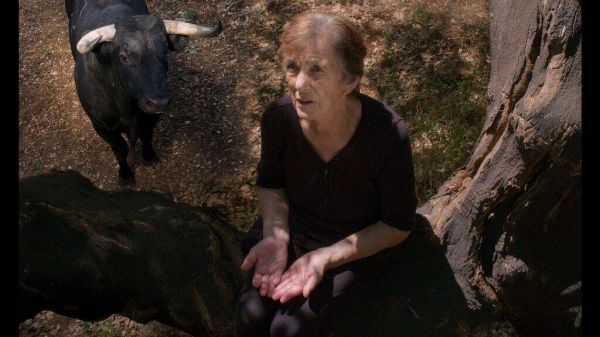 «Fogo do vento», une nuit magique dans les arbres de l'Alentejo