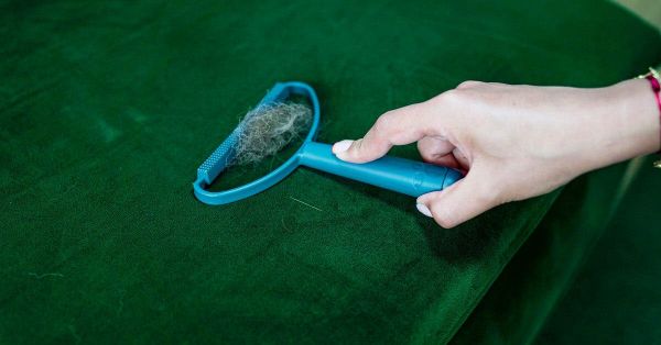 5 astuces de grand-mère pour enlever les poils de chien de différentes surfaces