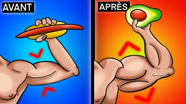 Six des meilleurs aliments pour la prise de masse musculaire