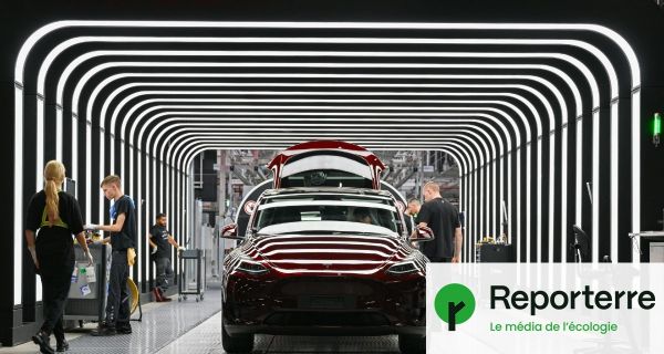 En Allemagne, Tesla freine l'agrandissement de sa « gigafactory »