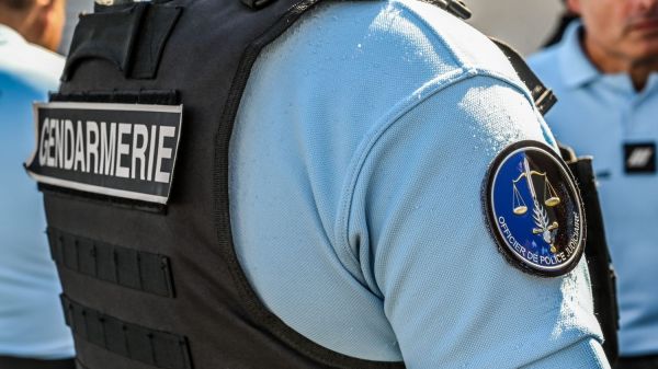 Une enquête ouverte par la gendarmerie dans le Grad après la découverte du corps d'un chat criblé de plombs