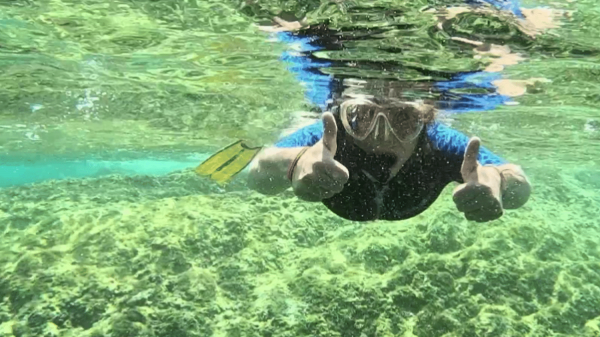 Var : plongée à la découverte des fonds marins