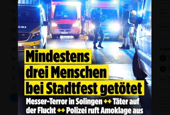 Allemagne : le festival de la Diversité tourne au carnage