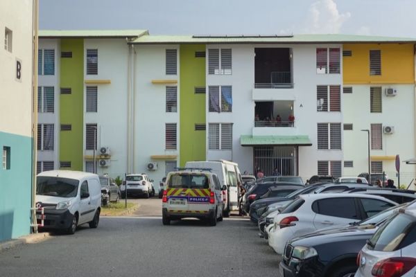 Un policier tué par balles en dehors de son service à Cayenne