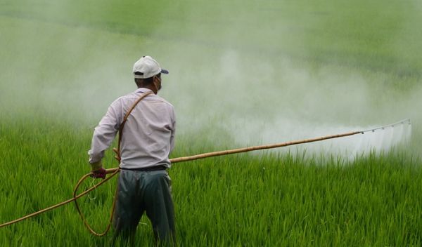 Pesticides dangereux en Tunisie : une menace persistante malgré les interdictions en Europe