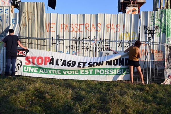 Autoroute A69 : les opposants s'organisent avant la période de reprise des coupes d'arbres