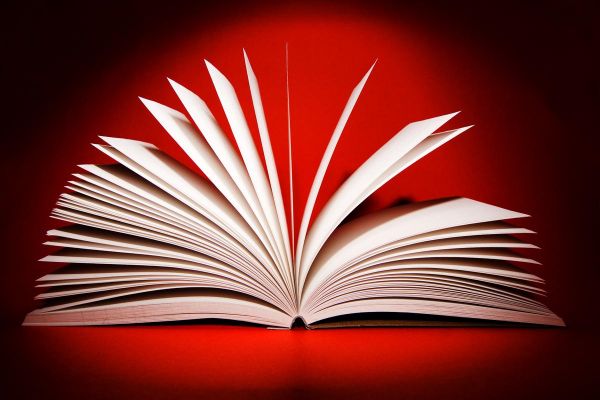 Prix littéraires 2024 : découvrez les premières sélections des prix Goncourt, Décembre et Renaudot