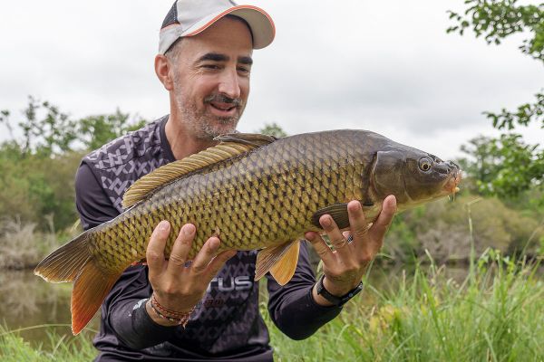 La technique de pêche la plus simple : le Method feeder en canal.