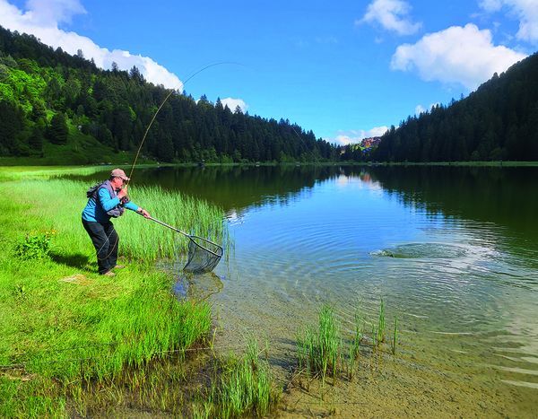 Pêche à la mouche sur le lac de Tueda