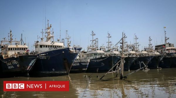 Comment la pêche illicite, non déclarée et non réglementée fait perdre environ 12 milliards de dollars par an à l'Afrique