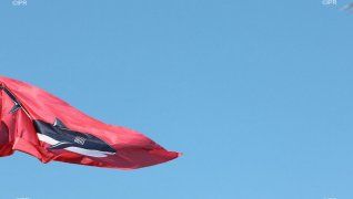 Vigilance en mer : Captures et observations en hausse : le Centre sécurité requin appelle à la prudence face au risque