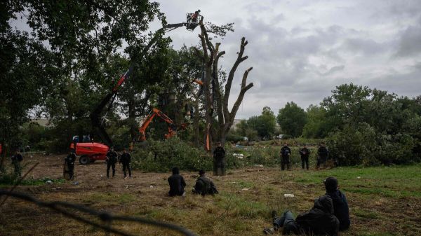 A69 : la préfecture annonce la fin des opérations de déboisement nécessaires au chantier
