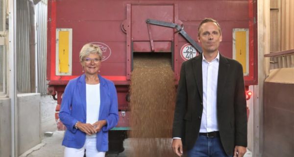 Les récoltes 2024 en partie noyées par la pluie