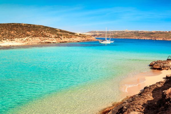 "C'est une situation intenable" : cette île devenue célèbre sur Instagram est désormais infestée de rats