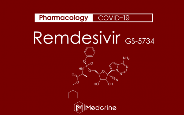 Après RFK Jr et Karen Kingston, le Dr Bryan Ardis et son livre « Au-delà des mensonges COVID-19 » nous informe et offre des solutions simples à l’attaque nano-biologique COVID-19 1/4 (Dr [...]