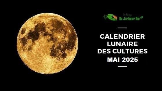 Jardiner avec la Lune Mai 2025 (Calendrier lunaire jardin)