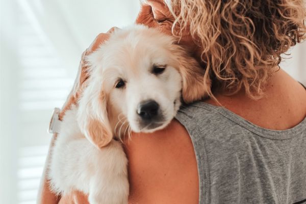 Comment les animaux expriment leur douleur (et pourquoi il est vital de lire entre les lignes et rester attentif)