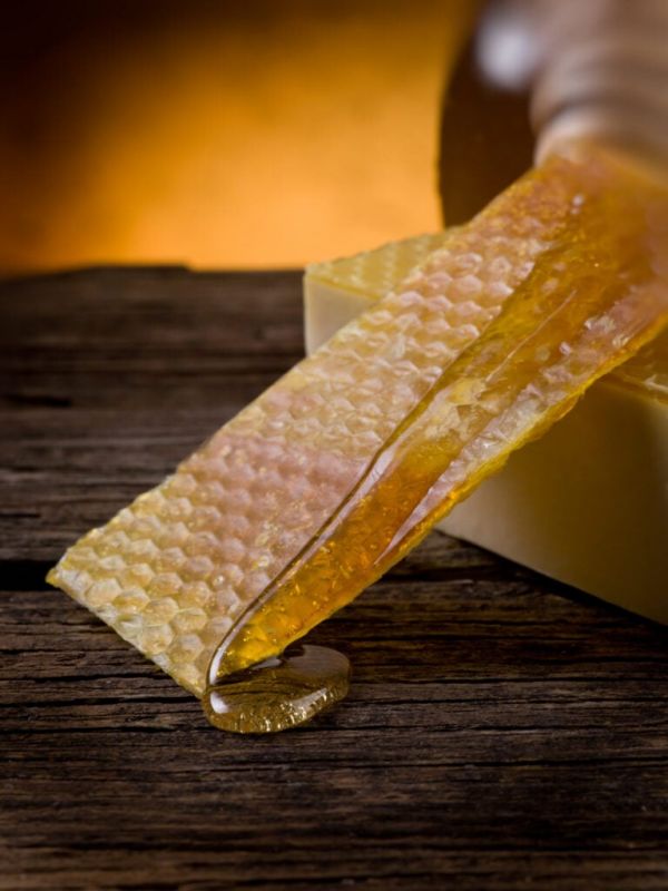 La gelée royale : élixir naturel aux vertus exceptionnelles