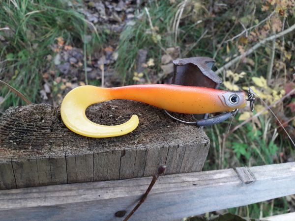 Curlyminn 6″ : Leurre Souple Polyvalent pour Carnassiers et Pêche Exotique
