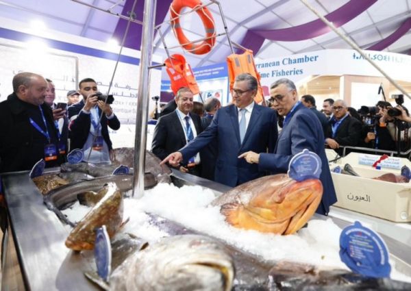 Maroc-Pêche : Lancement à Agadir de la 7ème édition du salon international « Halieutis »