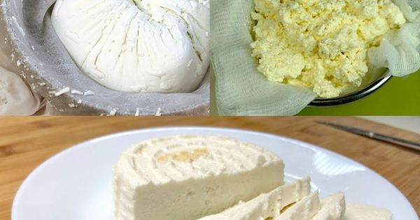 Comment faire son fromage maison ?